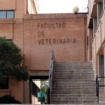 Control de ruido. Facultad de Veterinaria